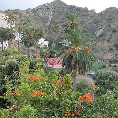 Morera * Vallehermoso