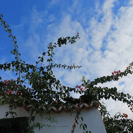 Morera Daire Vallehermoso