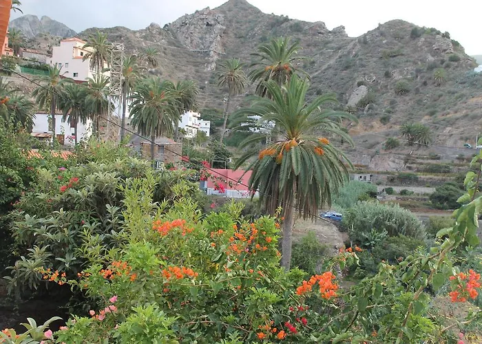 Morera * וייהרמוסו