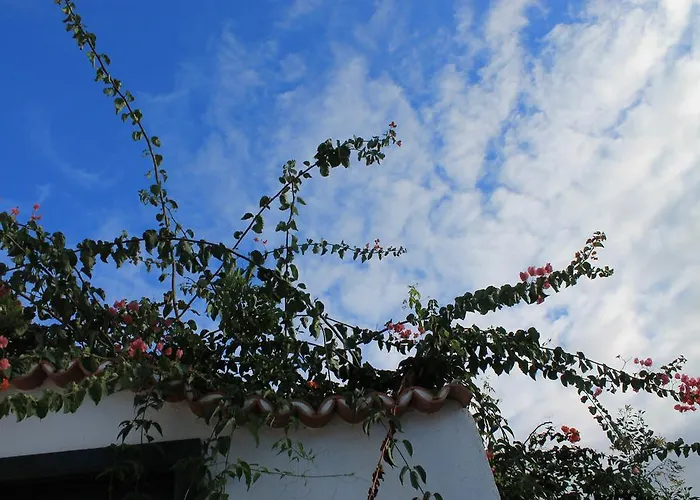 Morera דירה וייהרמוסו